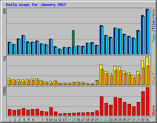 Daily usage for January 2017