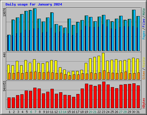 Daily usage for January 2024