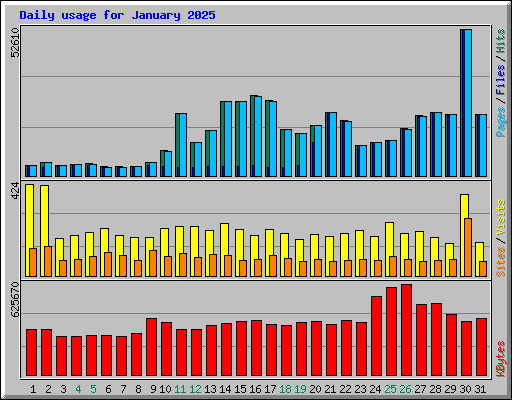 Daily usage for January 2025