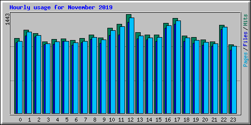 Hourly usage for November 2019