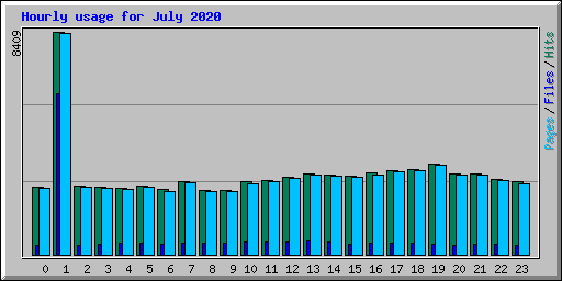 Hourly usage for July 2020