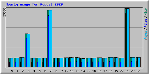 Hourly usage for August 2020