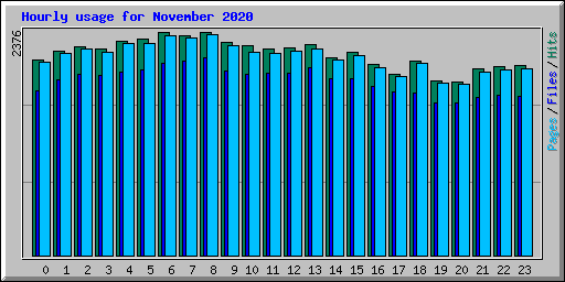 Hourly usage for November 2020