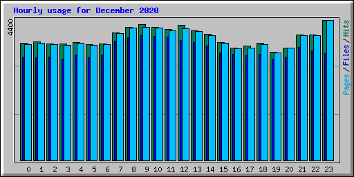 Hourly usage for December 2020