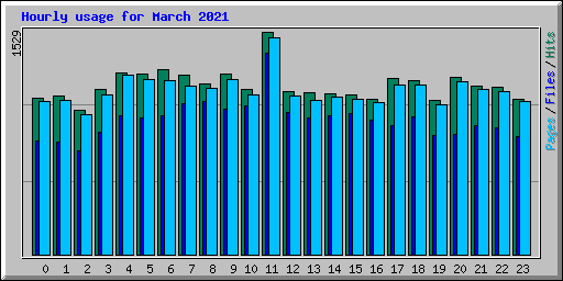 Hourly usage for March 2021