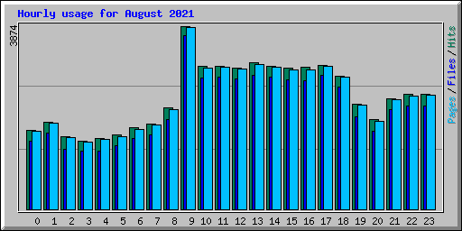 Hourly usage for August 2021