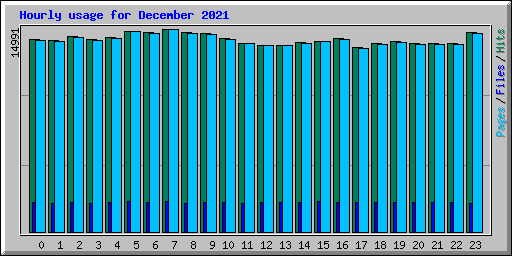 Hourly usage for December 2021