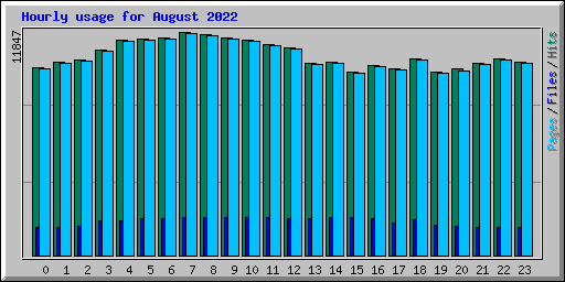 Hourly usage for August 2022