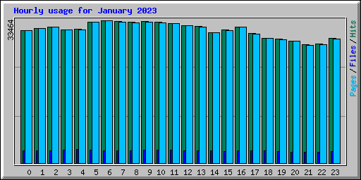 Hourly usage for January 2023