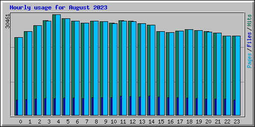 Hourly usage for August 2023