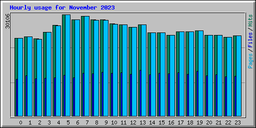 Hourly usage for November 2023