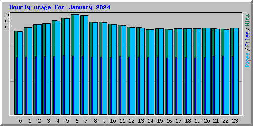 Hourly usage for January 2024