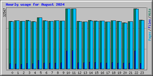 Hourly usage for August 2024