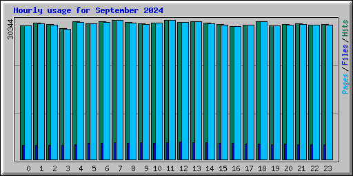 Hourly usage for September 2024