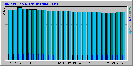 Hourly usage for October 2024