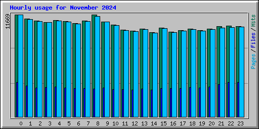 Hourly usage for November 2024