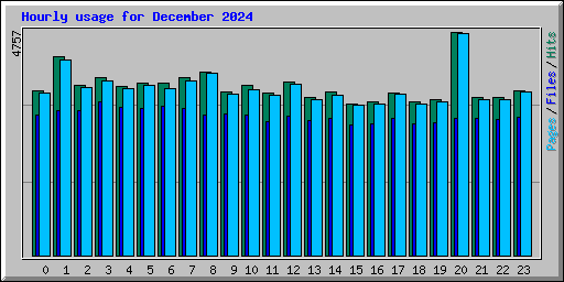 Hourly usage for December 2024