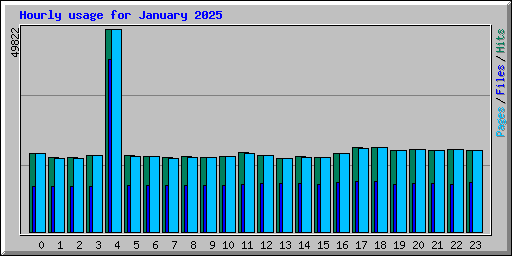 Hourly usage for January 2025