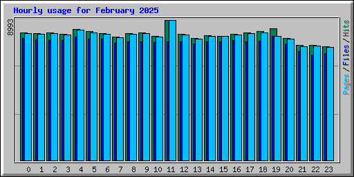 Hourly usage for February 2025