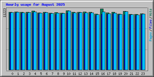 Hourly usage for August 2025