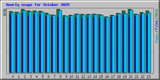 Hourly usage for October 2025