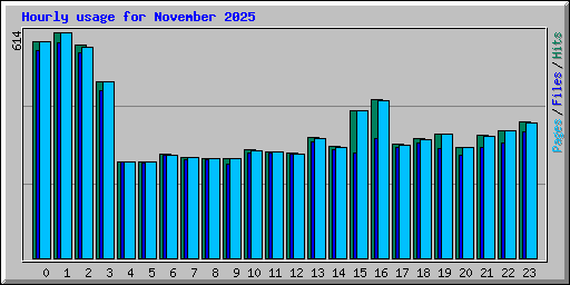 Hourly usage for November 2025
