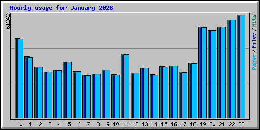 Hourly usage for January 2026