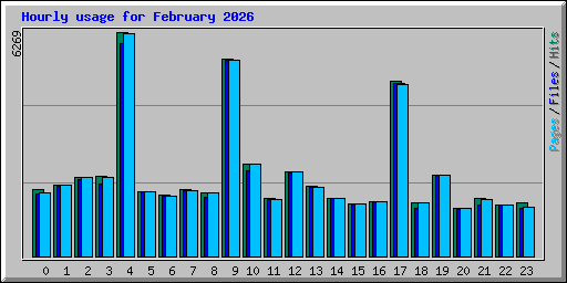 Hourly usage for February 2026
