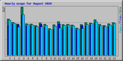 Hourly usage for August 2026